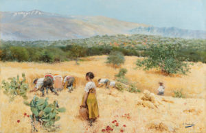 Andrade Harvest Sierra Nevada