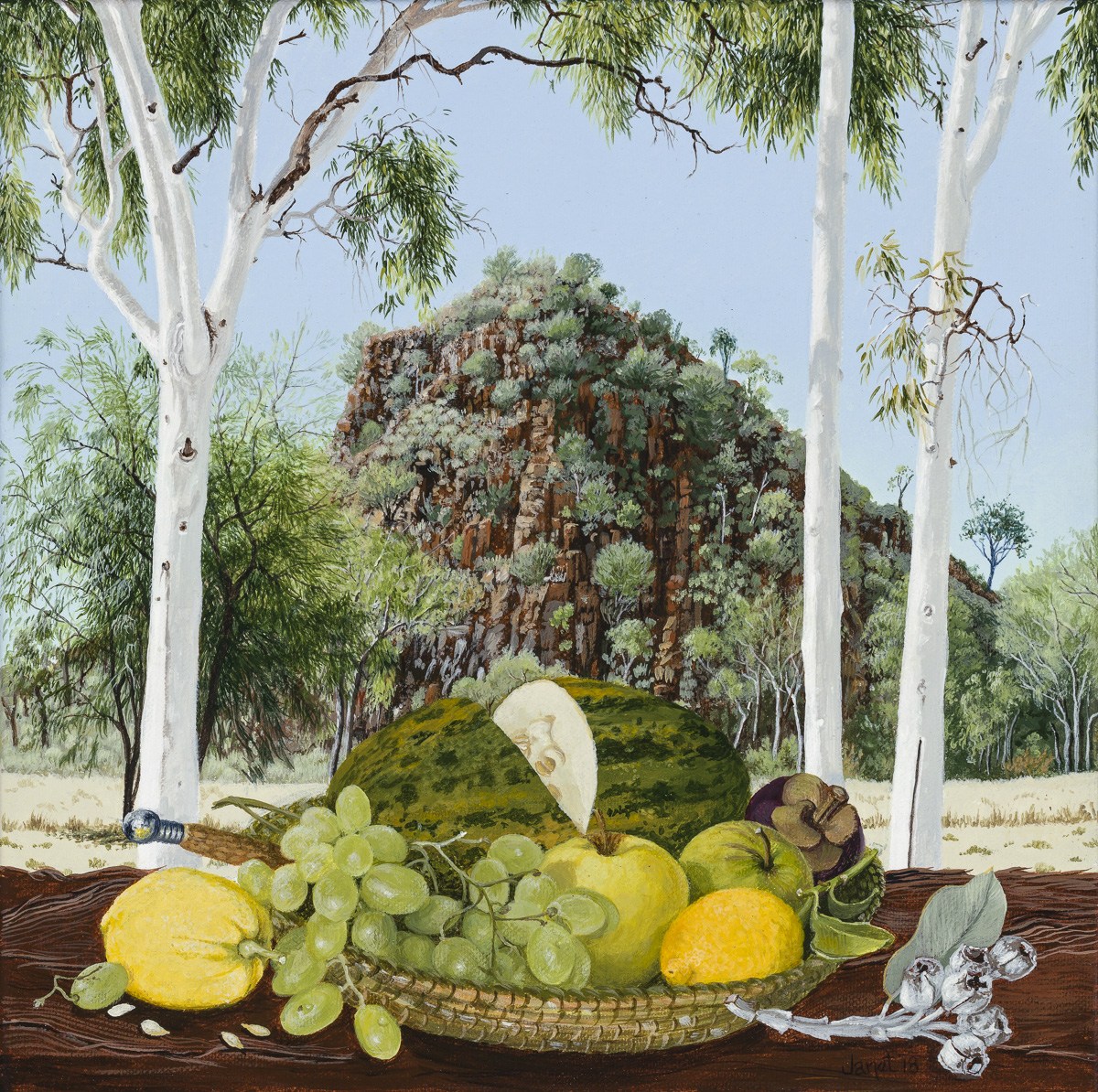 Still Life with Fruit, at 'Black Man Waiting', Alice Springs.30x30cm. synthetic polymer on canvas. Janet Green 2018