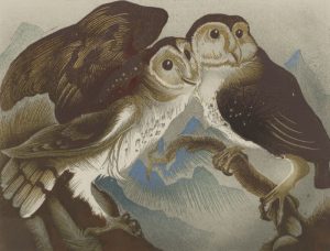 GRIFFIN-Owls